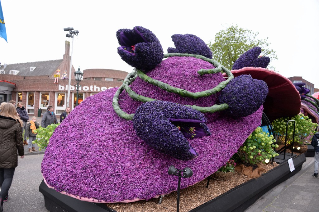 ../Images/Bloemencorso Noordwijkerhout 102.jpg